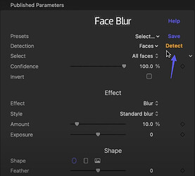 Face Blur by FxFactory