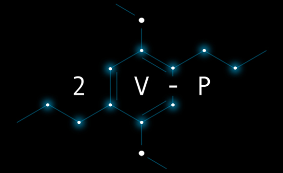 2V-P - Logo.jpg