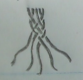 logo-weave.jpg